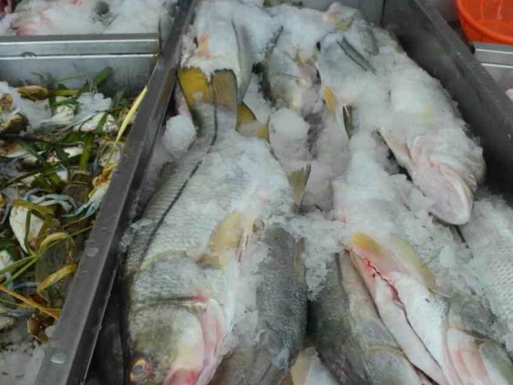 Invita Plaza de Mar a comprar en pescadería ante Semana Santa