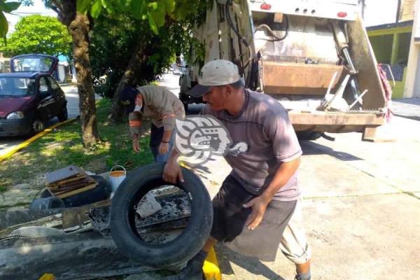 Detectan casos de dengue durante descacharrización en Coatzacoalcos