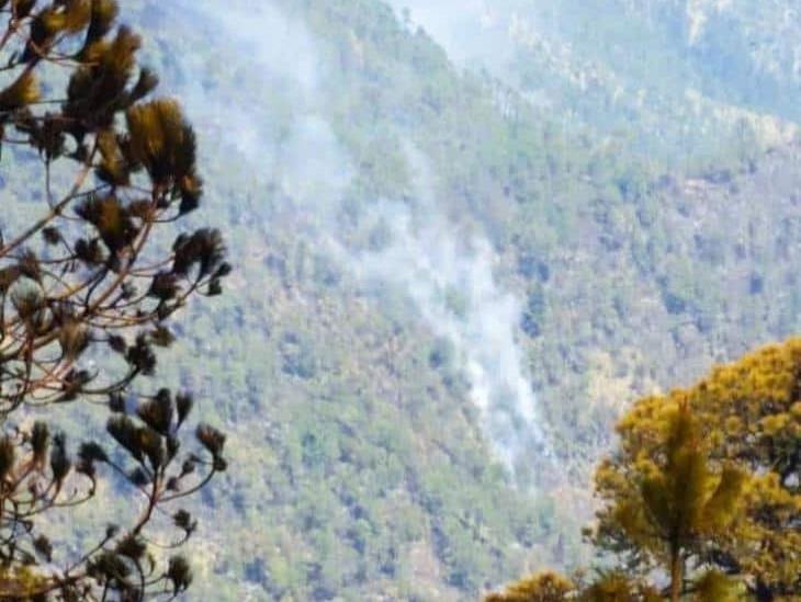 Reportan incendio en terreno agrícola de La Perla