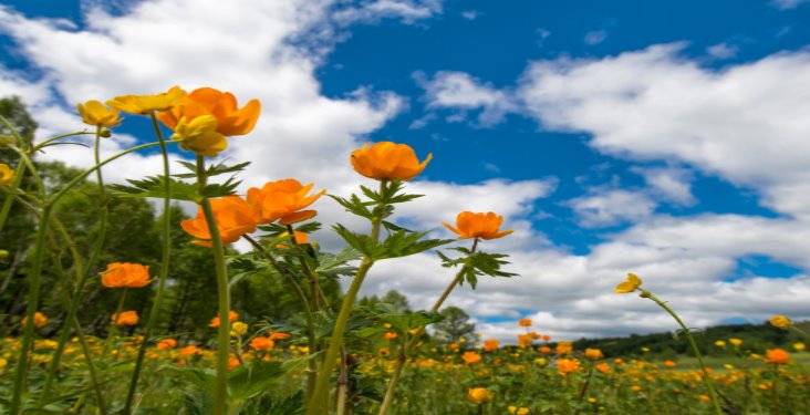 ¿Qué representa la primavera en nuestra vida?