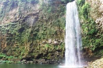 Bandas capturan especies marinas del río Apulco; las venden en Veracruz