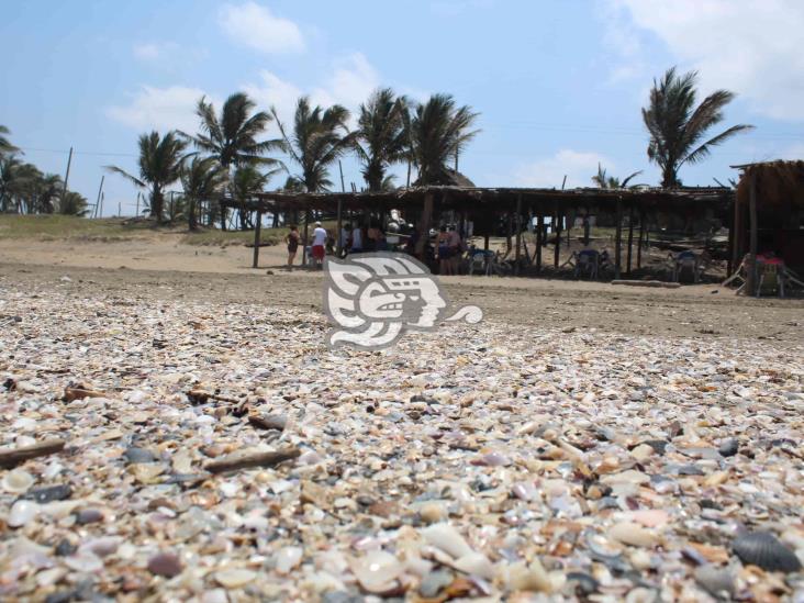 Foráneos y locales aprovechan calor para visitar playa Las Palmitas