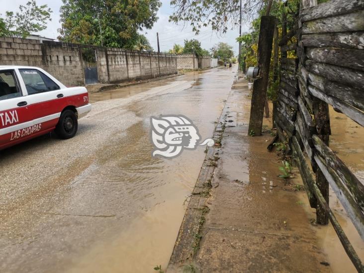 Se desborda arroyo en Las Choapas; casas quedan inundadas