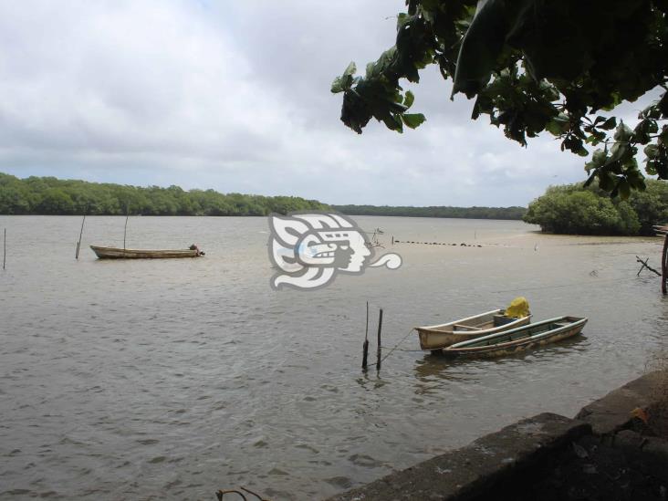 Arena obstruye caudal del río Tonalá; pescadores no producen