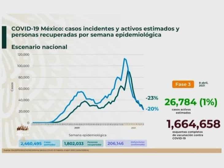 206 mil 146 muertes por COVID-19 en México; más de dos millones de contagios