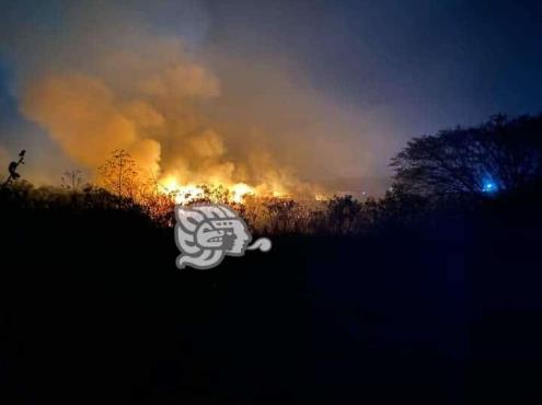 Incendio en pastizal de Fortín fue provocado; daño en 15 hectáreas