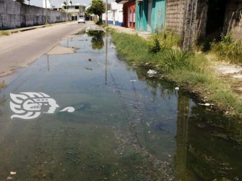 Enorme fuga de aguas negras atrás de escuela en Coatzacoalcos