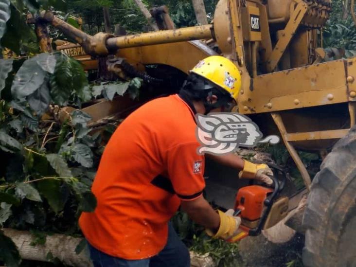 Trabajadores de Xico mueren aplastados por motoconformadora