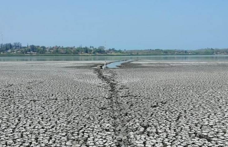 Muere laguna de Veracruz, sólo queda lodo ante sequía