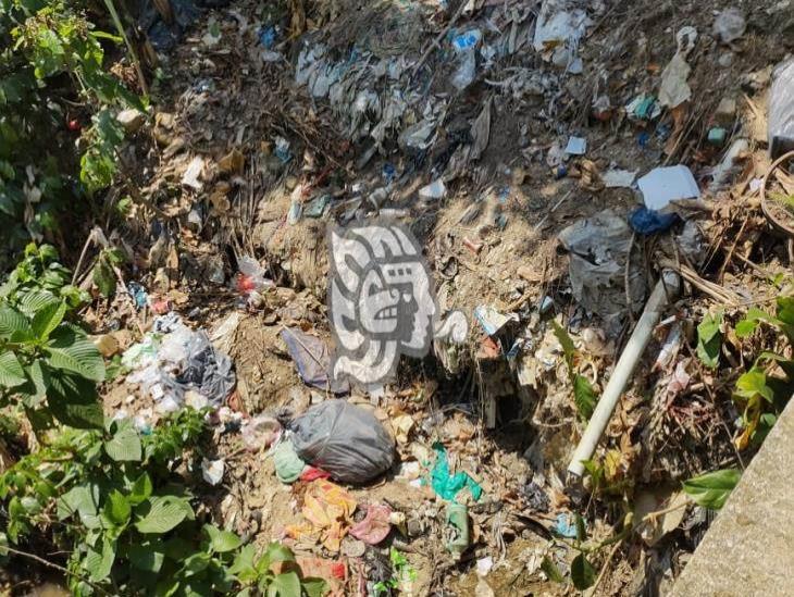 Aguas negras y desechos plásticos contaminan arroyo en Moloacán