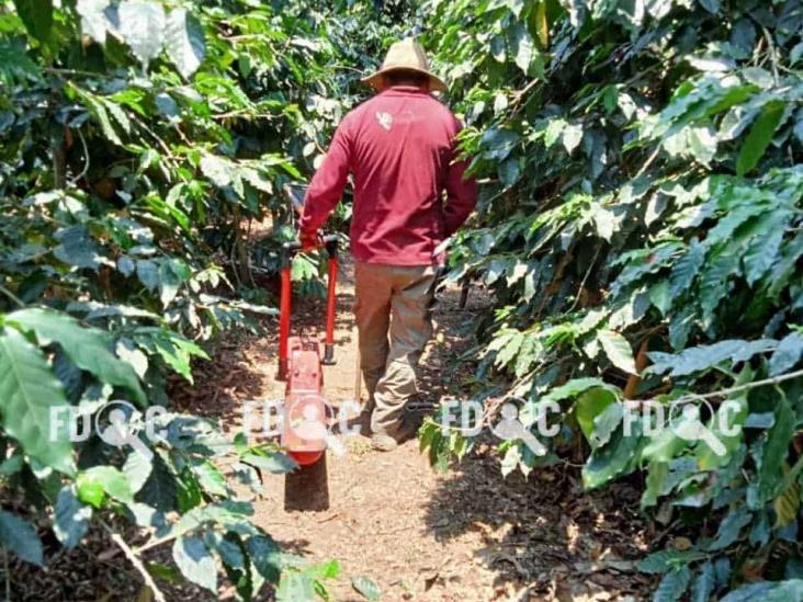 Tres nuevas fosas clandestinas dan positivo en Campo Grande