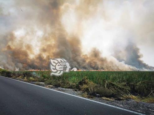 Esto pide PC Veracruz para evitar incendios durante surada