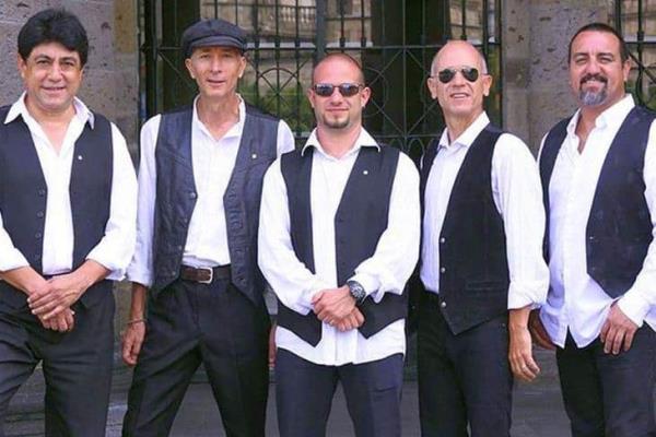 Retoma actividad musical