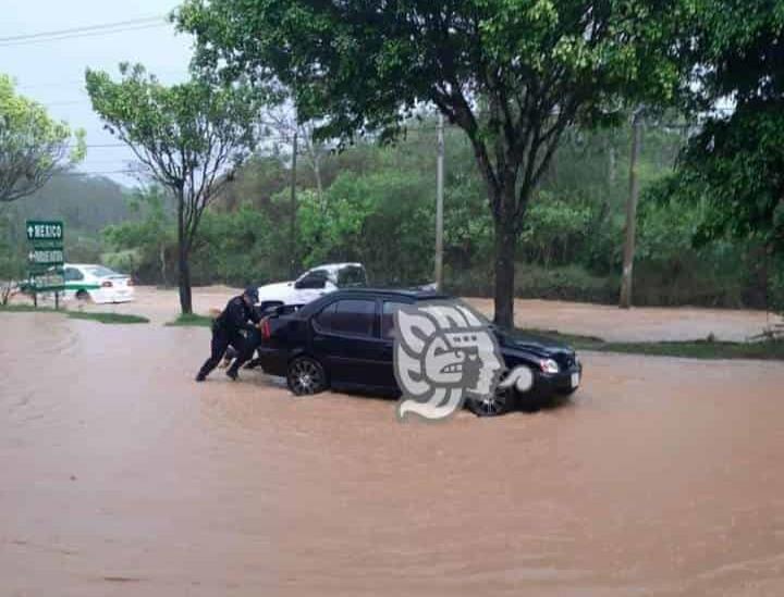 Tormenta en Xalapa deja inundaciones, automovilistas atrapados y arboles caídos