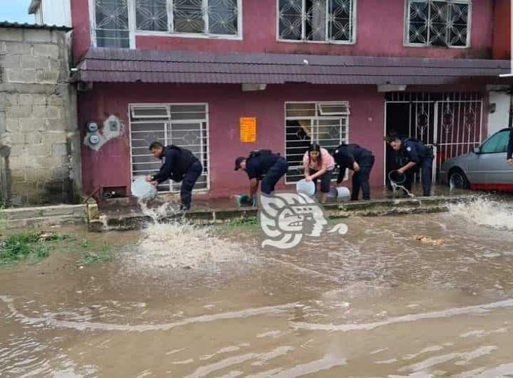 Tormenta en Xalapa deja inundaciones, automovilistas atrapados y arboles caídos