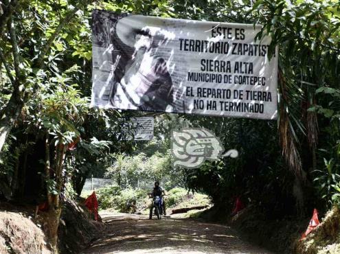 A cambio de votos, Sedatu autoriza devastar bosque veracruzano en Coatepec, denuncian