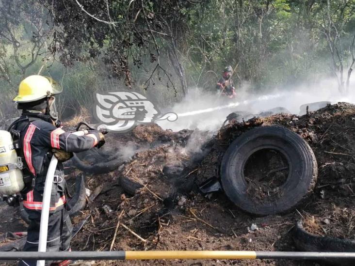 Llantas y brasa de cigarro provocan voraz incendio en Tlilapan