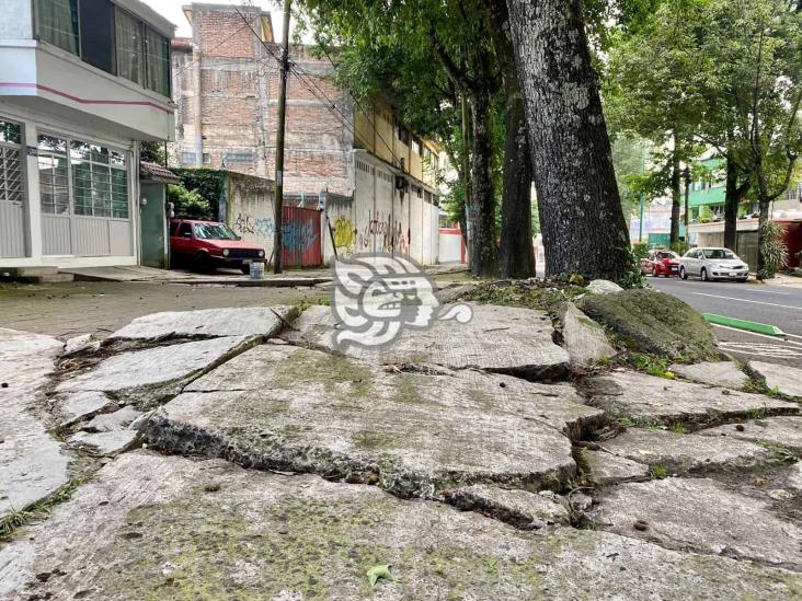 Habitantes de Xalapa sufren accidentes por mal estado de banquetas