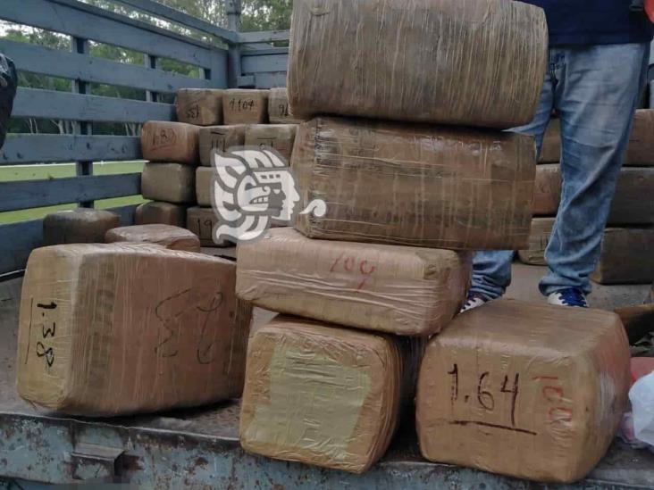 FGR incineró 2 toneladas 220 kilos de marihuana en Veracruz