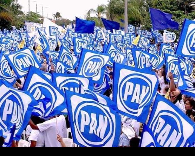 PAN fracasa y pierde presencia en Veracruz tras aliarse con PRI y PRD; MC repunta
