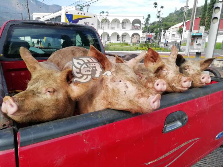 Tras aplicación de vacuna anticovid, venta de carne de cerdo se recupera en Orizaba