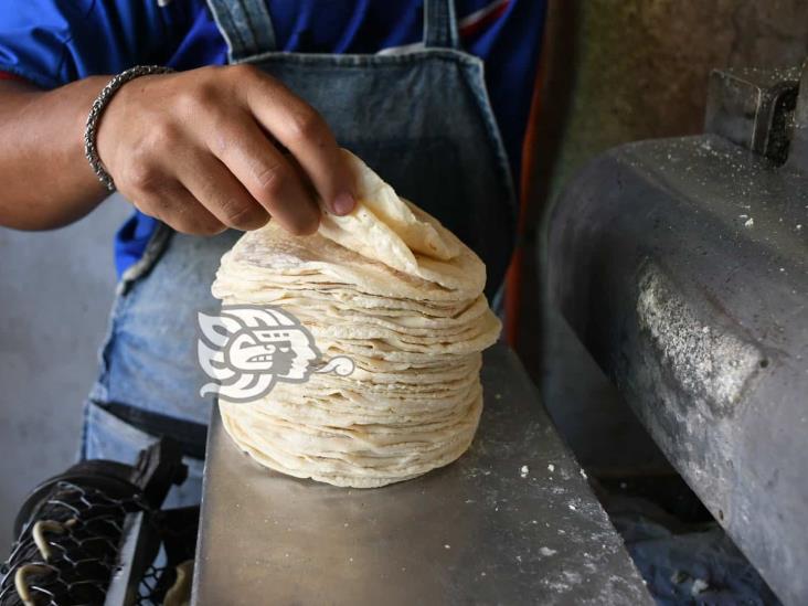 ¿No puedes comer sin tortilla? En Xalapa subirá a 16 pesos el kilo