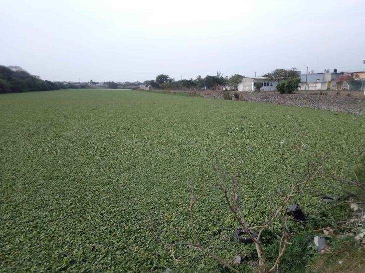 Laguna D en peligro tras bajos niveles de agua en Veracruz