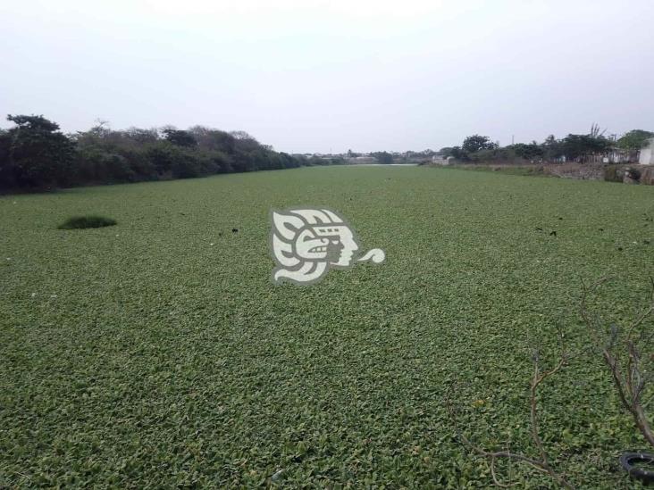 Laguna D en peligro tras bajos niveles de agua en Veracruz