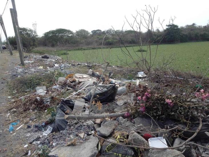 Laguna D en peligro tras bajos niveles de agua en Veracruz