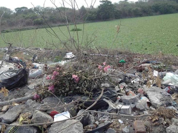 Laguna D en peligro tras bajos niveles de agua en Veracruz