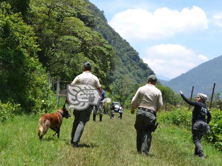 En Ixtaczoquitlán, colectivo confirma 5 fosas clandestinas en Campo Grande