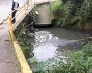Encuentran cadáver flotando en río Pintores de Coatepec