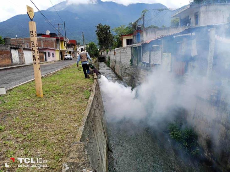 Inicia fumigación y chapeo en escuelas y calles de Río Blanco