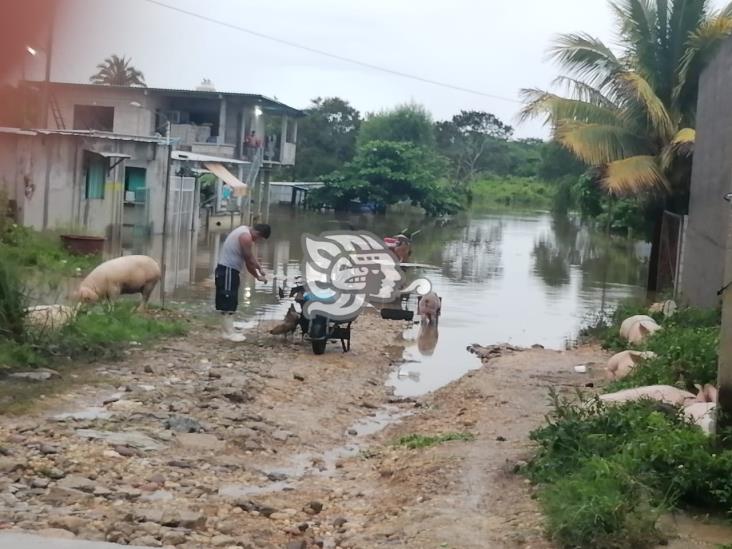 Anegaciones en 6 municipios por creciente de ríos San Juan y Coatzacoalcos