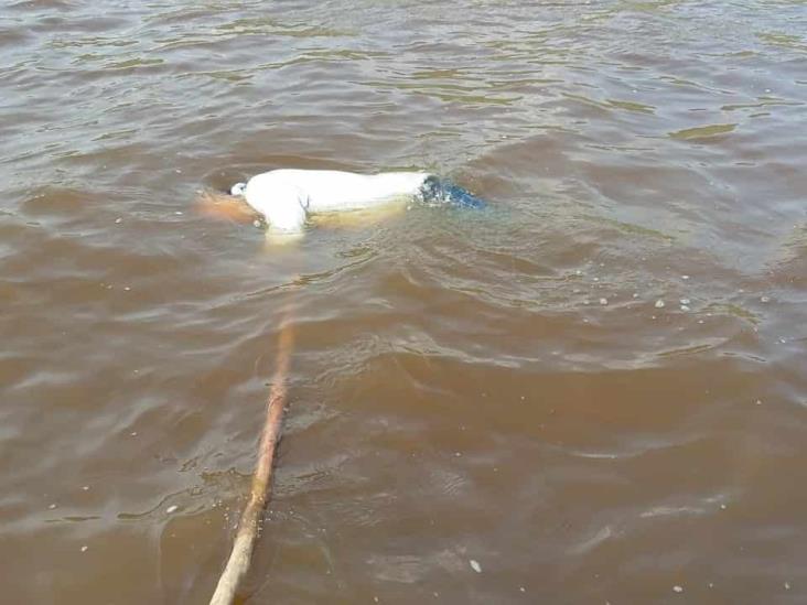 Hombre jubilado muere ahogado en laguna de La Mancha, en Actopan