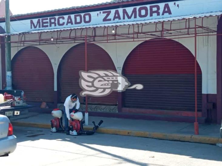 Iniciaron fumigaciones en mercados 12 de Noviembre y Zamora