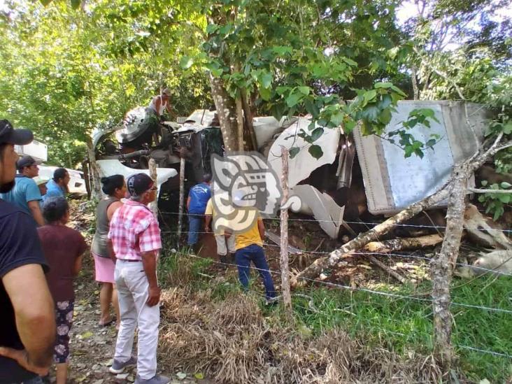 Camión cargado de ganado vuelca en la carretera estatal