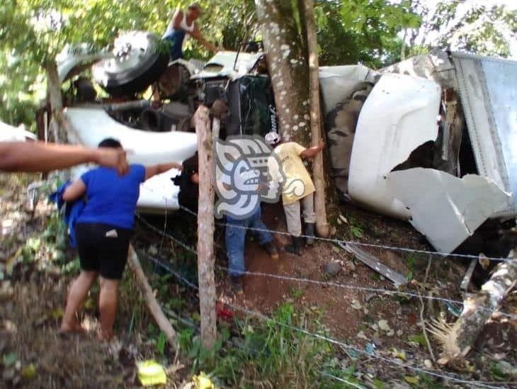 Camión cargado de ganado vuelca en la carretera estatal