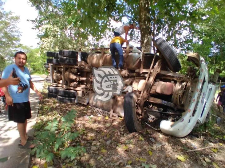 Camión cargado de ganado vuelca en la carretera estatal