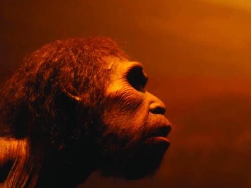 Hallan nueva especie de hombre prehistórico en Israel