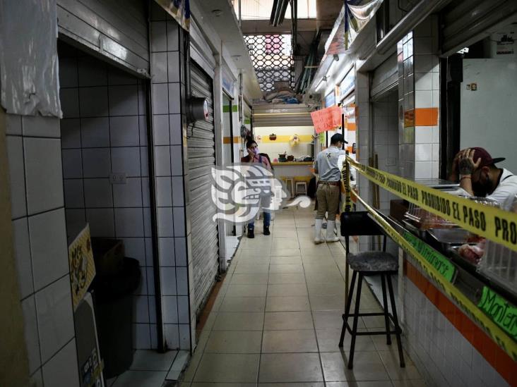 Denuncian plaga de cucarachas en Mercado Galeana de Xalapa; urgen fumigación