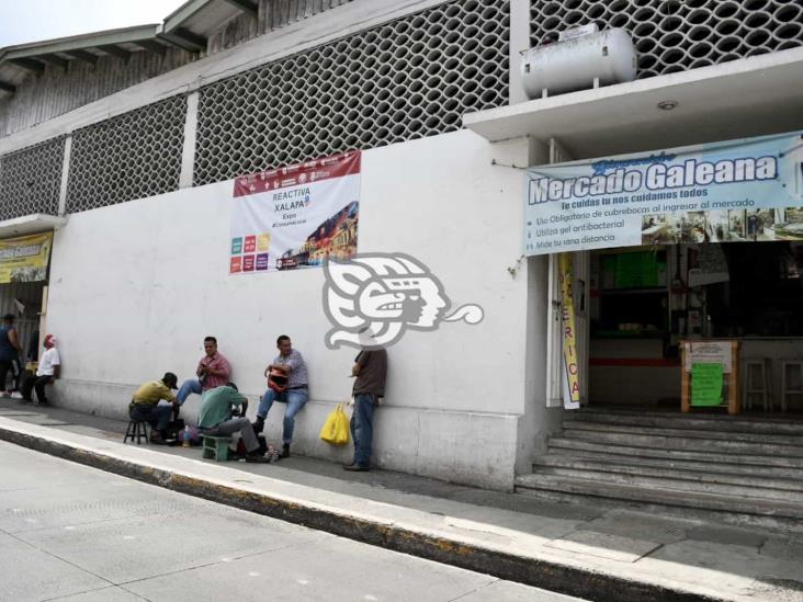 Denuncian plaga de cucarachas en Mercado Galeana de Xalapa; urgen fumigación