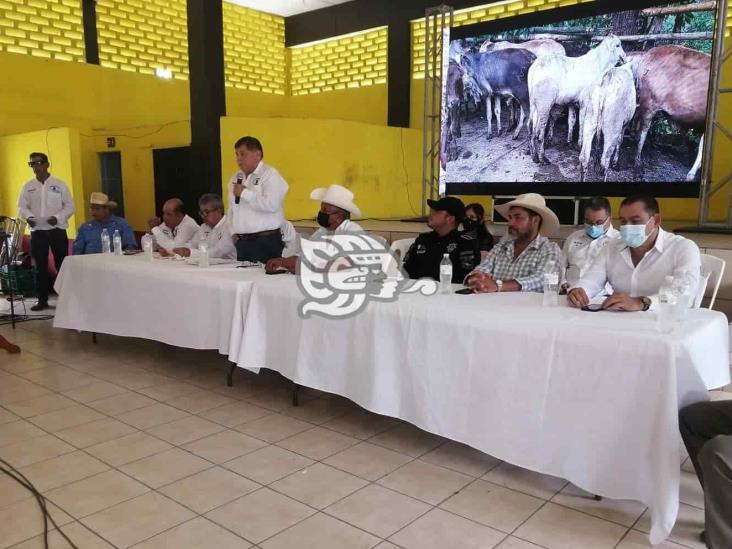 Socios ganaderos de Las Choapas buscan apoyos federales