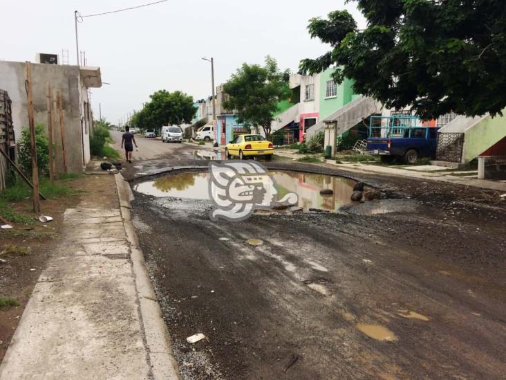 Incumple Fernando Yunes con pavimentación en Albatros