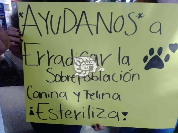 Anuncian activistas campaña de esterilización para mascotas