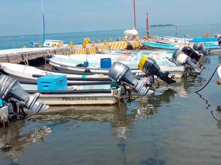 Rehabilitan muro de pescadores en Veracruz