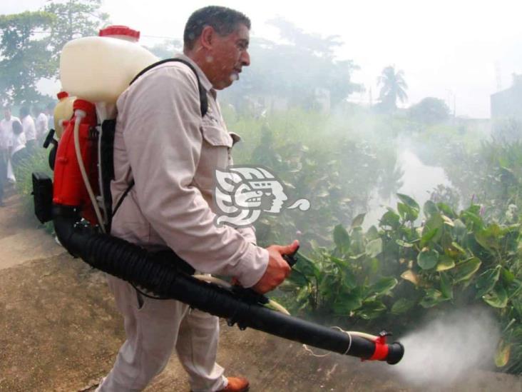 Continúan labores de fumigación en diversos sectores de Coatzacoalcos