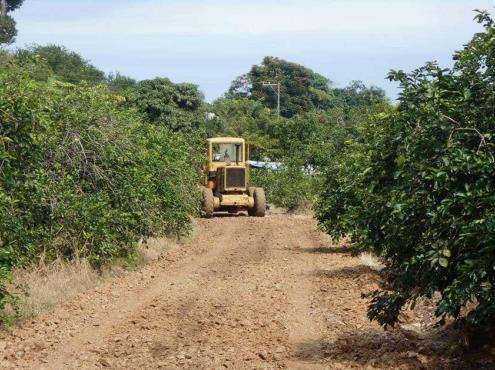 Apremian recursos para mejoramiento de caminos de productores en Veracruz