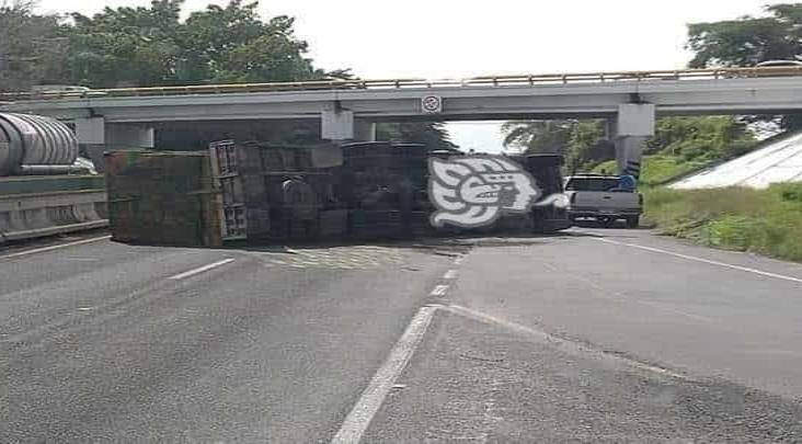 Se vuelca tráiler sobre la autopista Cosamaloapan-La Tinaja