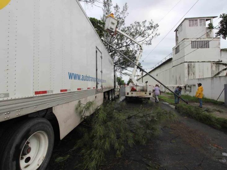 Tráiler se lleva por accidente luminaria en calles del centro de Veracruz